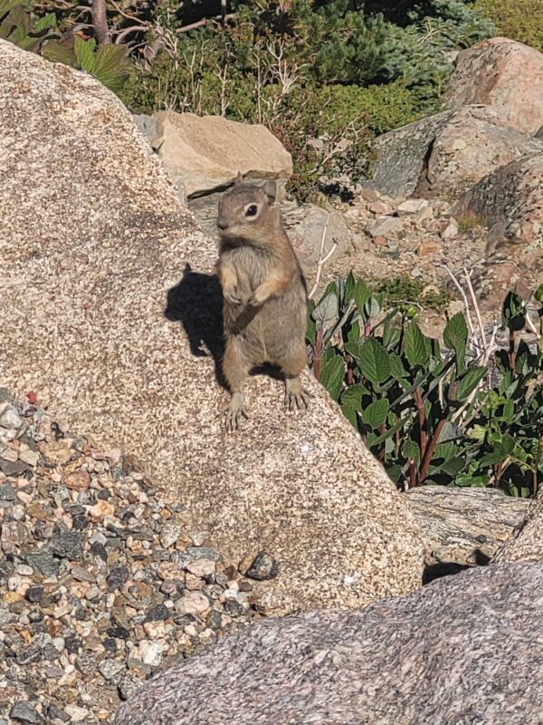Rocky Mountain National Park