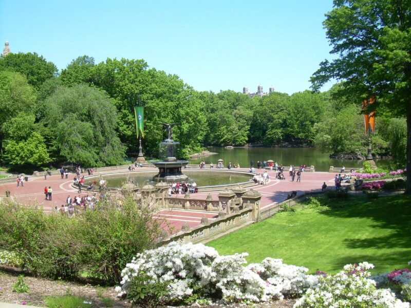 Central Park New Work City