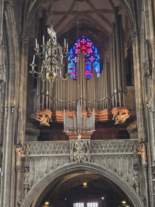 The church organ found in St. Stephen's Cathedral.