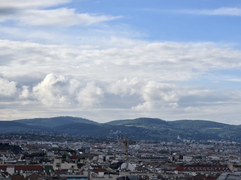 A view of Vienna from the top of the North Tower of St. Stephen's Cathedral.