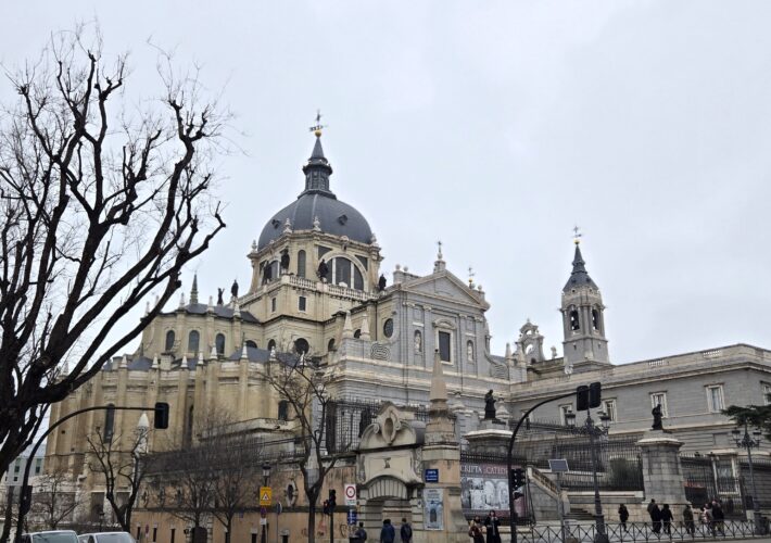 Facade of a grand cathedral with a blue-gray dome and spires, seen through leafless trees on a city street. (Informative: architectural exterior)