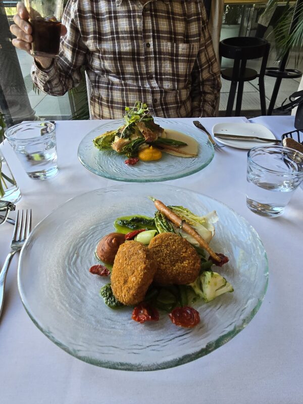 Person in a plaid shirt raises a glass of dark beverage at a dining table, with a plated dish of greens and croquettes in view.